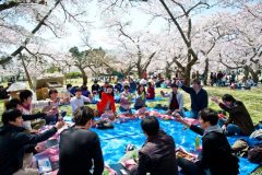 02DSC_7739