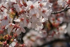10IMG_4927