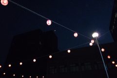 P1070423