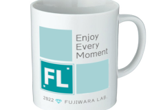 FL_mag