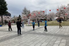 IMG_8382
