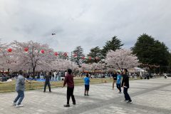 IMG_8383
