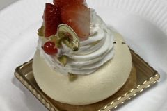 IMG_4880-コピー-3